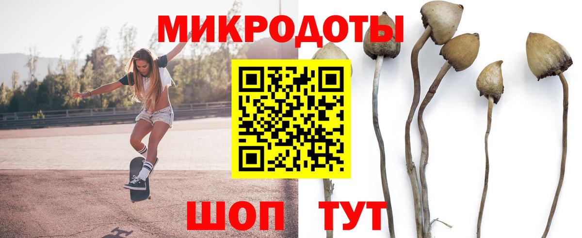 Скопин  Псилоцибиновые грибы Psilocybe  Вход с VPN 